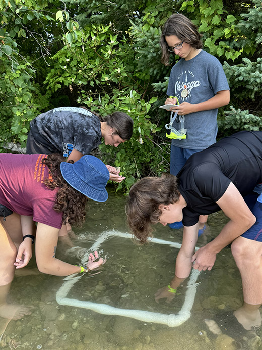 A group of four teenagers standing in shallow water with bushes in the background reach into a square, PVC frame resting on the lake bottom. One person holds a scuba mask.